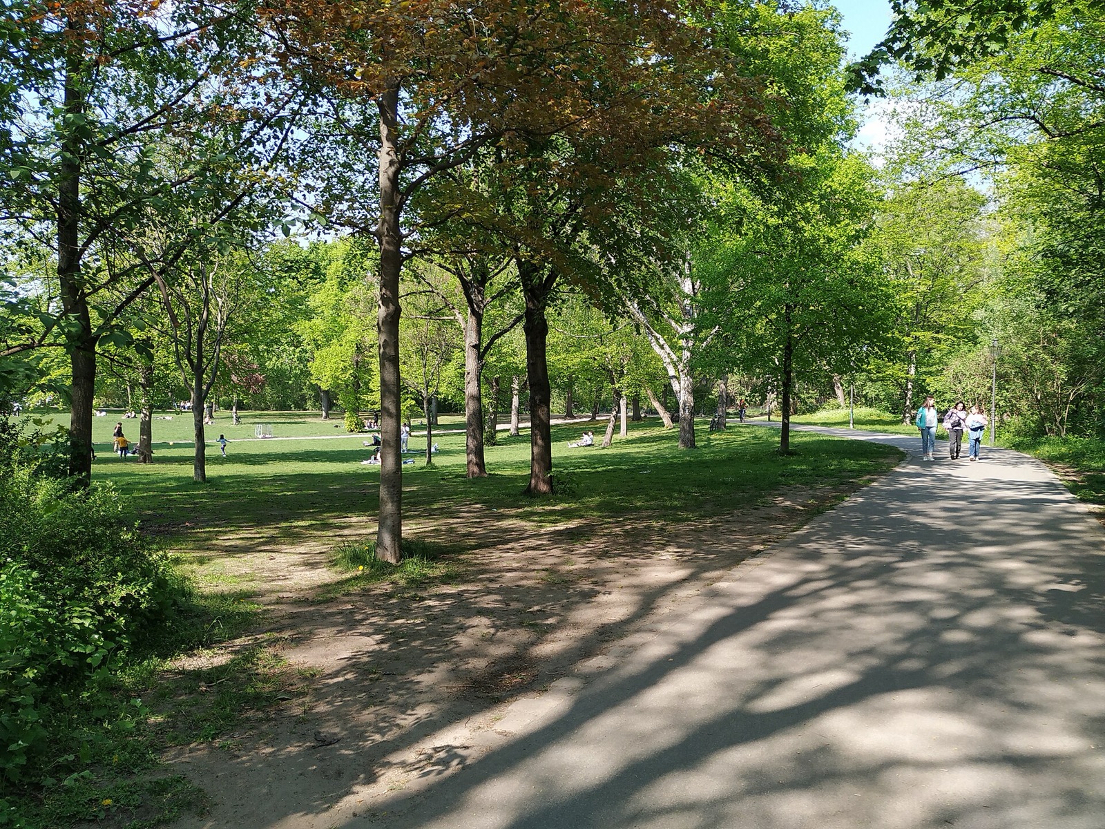 Eine Wiese im Volkspark Friedrichshain