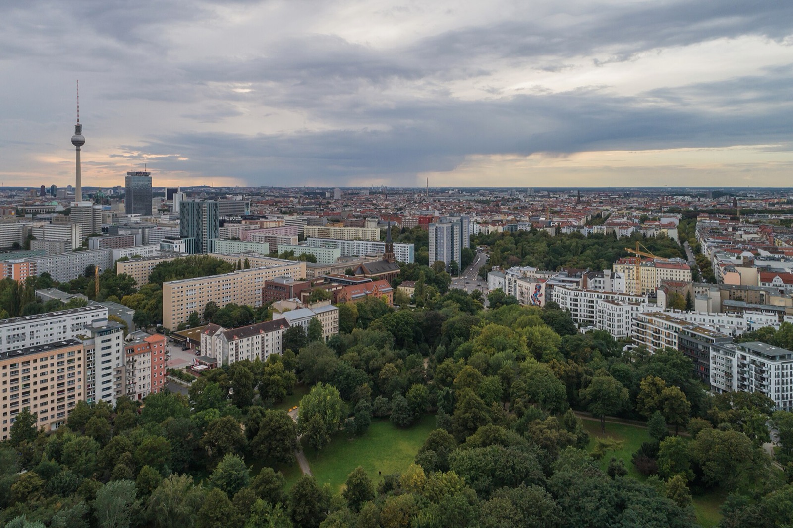 Sommerlicher Laufweg im Volkspark