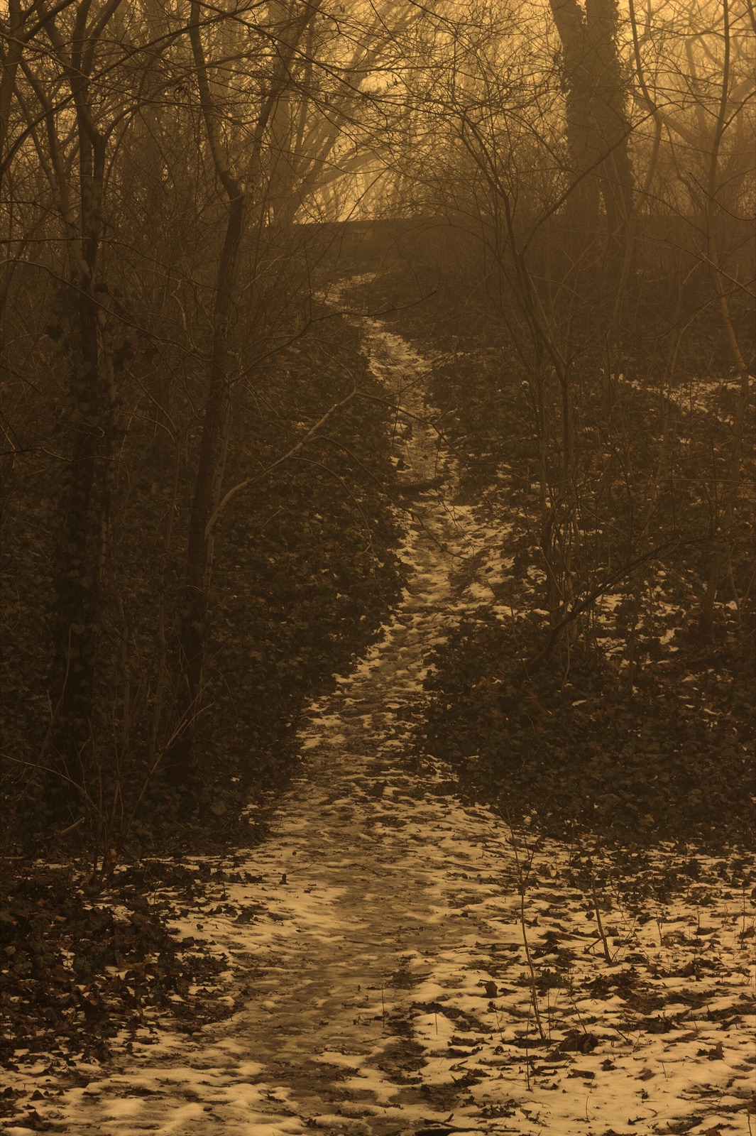 Winterpfad am Bunkerberg